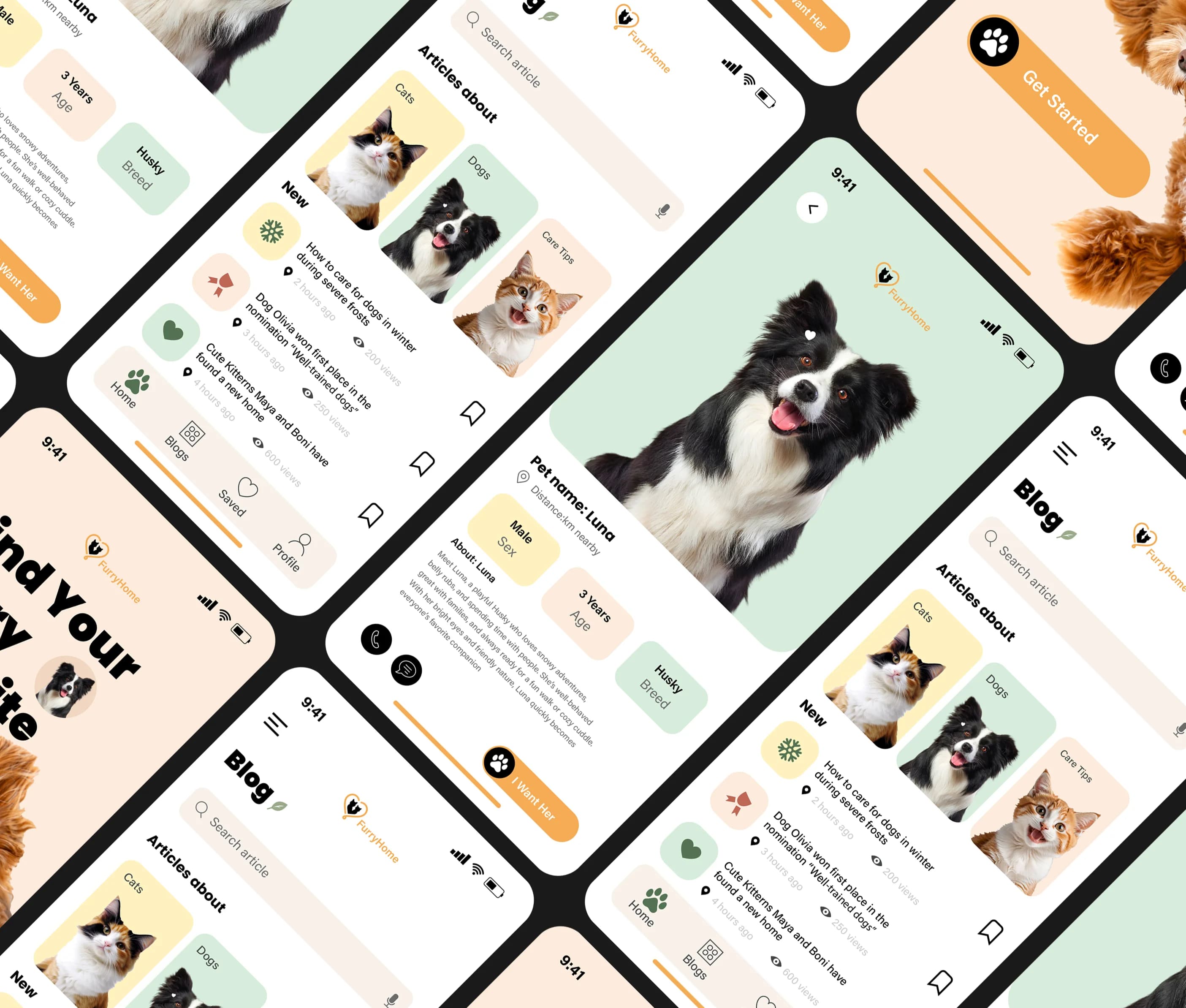 FurryHome project visual 2