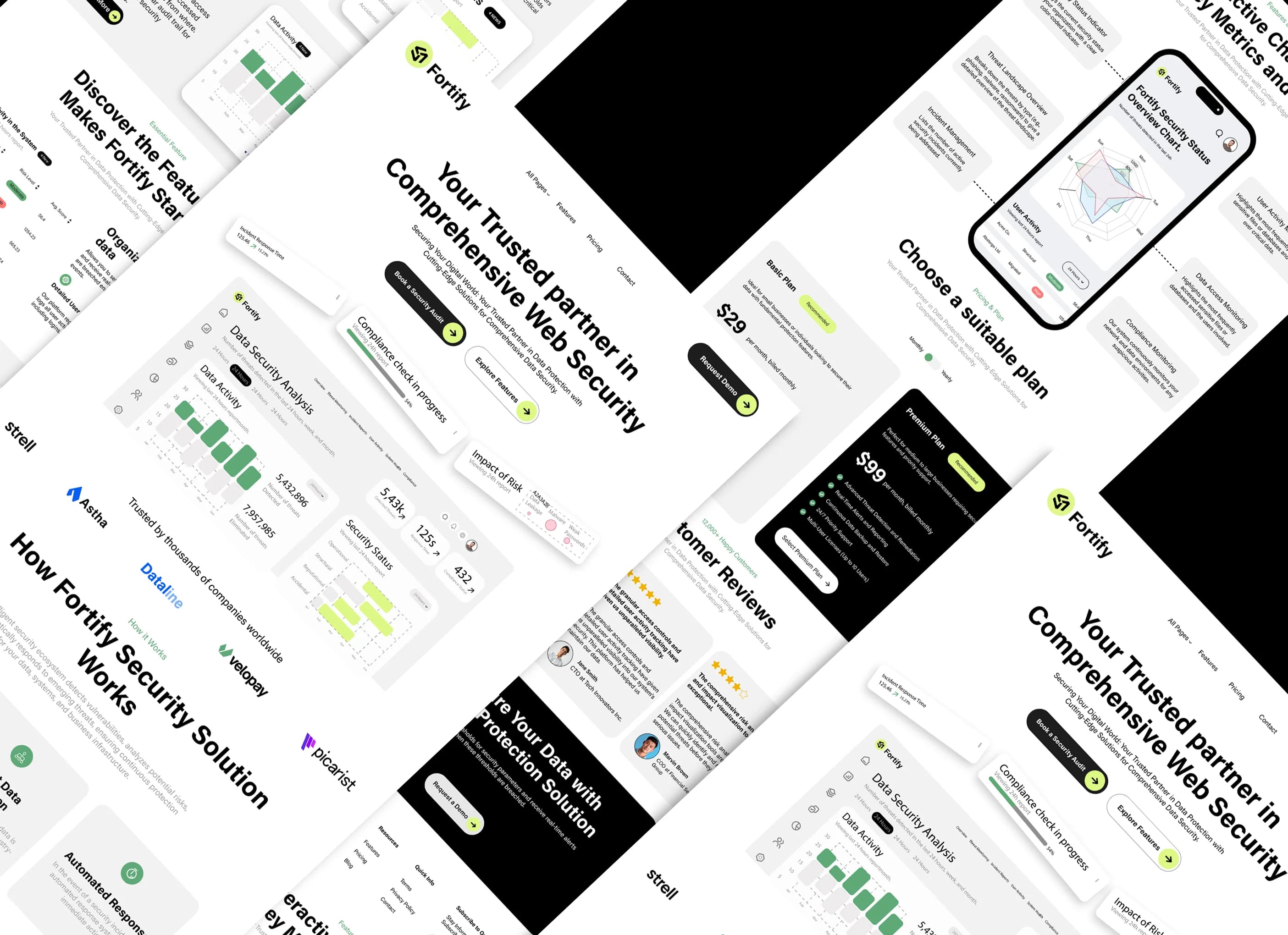 Fortify project visual 3